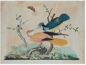 Vittorio Raineri, a) "Due pappagalli su un ramo"; b) "Una ghiandaia e un uccello fantastico"